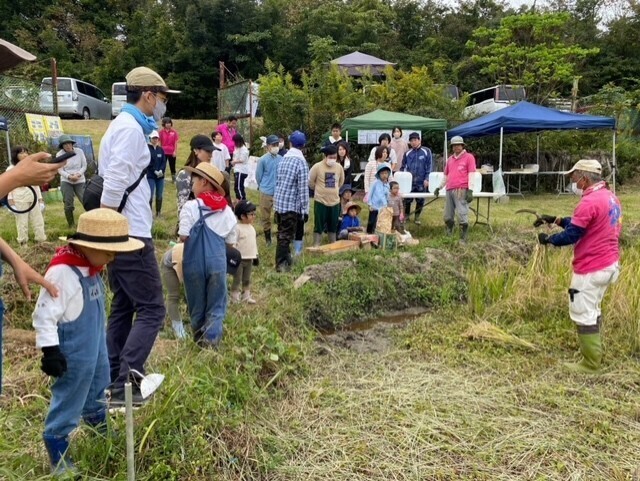 昔ながらの稲刈り体験と完全オーガニックのお米、お味噌を使った五平餅作り♪