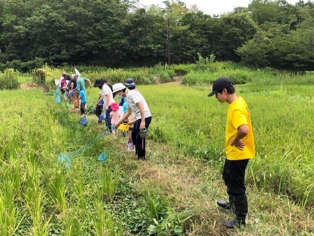 『自然と共生する田んぼで生き物みっけ♬』完全オーガニックの食事付き